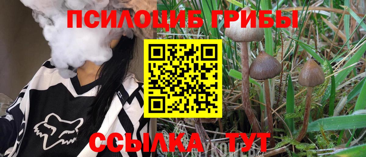 Галлюциногенные грибы Psilocybe Наро-Фоминск